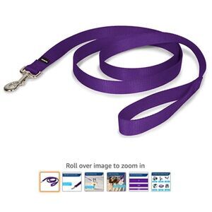 PetSafe Nylon Dog Leash - Strong, Durable, Traditional Style Leash (Purple)